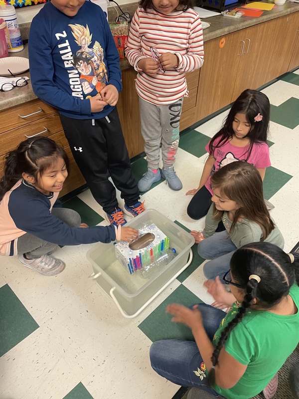 Will they Float??? Schuyler Elementary School